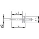 TESA 03570029 Insert with Flat Measuring Face, Ø 2 mm, Steel, L=2.2 mm